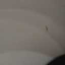 11.42in Silent Hamster Wheel with 2 Natural Chew Toys - Wooden Exercise Wheel with Removable Track, Quiet Spinner for Gerbils, Mice, Hamsters,Mouse,Syrian Hamster(11.42in)