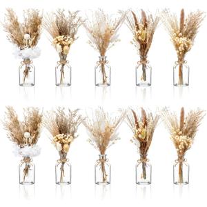 Nuanchu 10 Set Boho Dried Pampas Grass Decor Centerpiece for Wedding 10 Small Glass Vases 10 Dried Pampas Grass Bouquet with Rope for Baby Shower Rustic Bridal Party Farmhouse Decoration