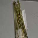 DANMO Easel Stand for Wedding Sign Poster 63'' Instant Display Floor Adjustable Metal Art Easel Gold