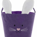 Holiday home easter corduroy basket Violet 3ct