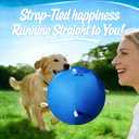 Horse Ball 40inch - Extra Large Toy for Adult Horses, Ideal for Pasture & Indoor Stall Boredom Relief
