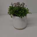 Faux Potted Plant Decor, Realisitic Green Foilage and Flower in White Ceramic Pot, Perfect for Home and Office
