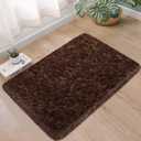 Small Fluffy Rugs for Bedroom 2x3 Brown Shaggy Area Rug Soft Plush Fuzzy Fur Throw Rug for Living Room Dorm Kids Nursery Home Decor Aesthetic Carpets, 30X50