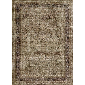 Poeti Washable Rug, Ultra Thin 4x6 Rug - Non Slip Carpet - Small Area Rugs for Living Room Entryway Rug - Vintage Floral Rug, Olive/Charcoal