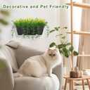 Artificial Baby Breath Fake Plants Indoor for Farmhouse Home Decor, Fake Potted Plants in Plastic Rectangular Pots for Table Centerpiece for Bathroom Office Living Room Shelf Laundry Decor, Yellow