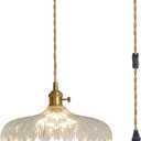 Plug in Pendant Light, Clear Glass Shade Hanging Light, Industrial Pendant Light for Entryway, Dinning Room Lighting Fixture, Bedroom, Kitchen Island (295mm plug in)