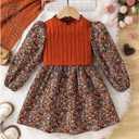 SOLY HUX Toddler Girl's Fall Floral Dress Long Sleeve A Line Cute Casual Short Dresses