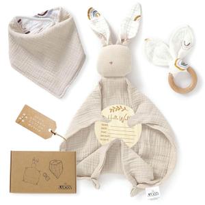 Organic Cotton Baby Gift Set - 4-Piece Muslin Bunny Lovey, Teether Ring, Bandana Bib & Wooden Announcement Card - Gender Neutral Newborn Gifts, Welcome Baby Box, Loveys for Babies