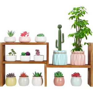 5 Tiered Small Window Plant Shelf,Wooden Desktop Plant Stand Indoor ,Table Top Plants Shelves,Window Sill Shelf for Plants Lovers,Succulent, Countertop Plant Rack Holder