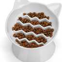 Ceramic Slow Feeder Cat Bowl, 2 Cups Tilted Elevated Cat Slow Feeder Bowl for Dry and Wet Food, Honeycomb Design for Preventing Vomiting & Bloating (White-Cute Kitten)