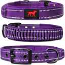 Heavy Duty Dog Collar with Handle | Ballistic Nylon Heavy Duty Collar | Padded Reflective Dog Collar with Adjustable Stainless Steel Hardware | Convenient Sizing for All Breeds (Medium/Large (14 - 18" Neck), Purple)