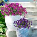 SJL Artificial Flowers for Outdoors Faux Spring Petunias Flowers Fake Greenery Stems Plant UV Resistant Artificial Outdoor Plants for Front Door Home Garden Balcony Patio Decoration(Fuchsia)