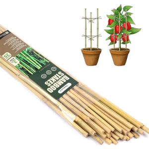 Cambaverd Bamboo Garden Stakes 3 Feet Plant Stakes for Roma Tomatoes Sunflowers Beans Potted and Climbing Plants - Pack of 25 Bamboo Sticks