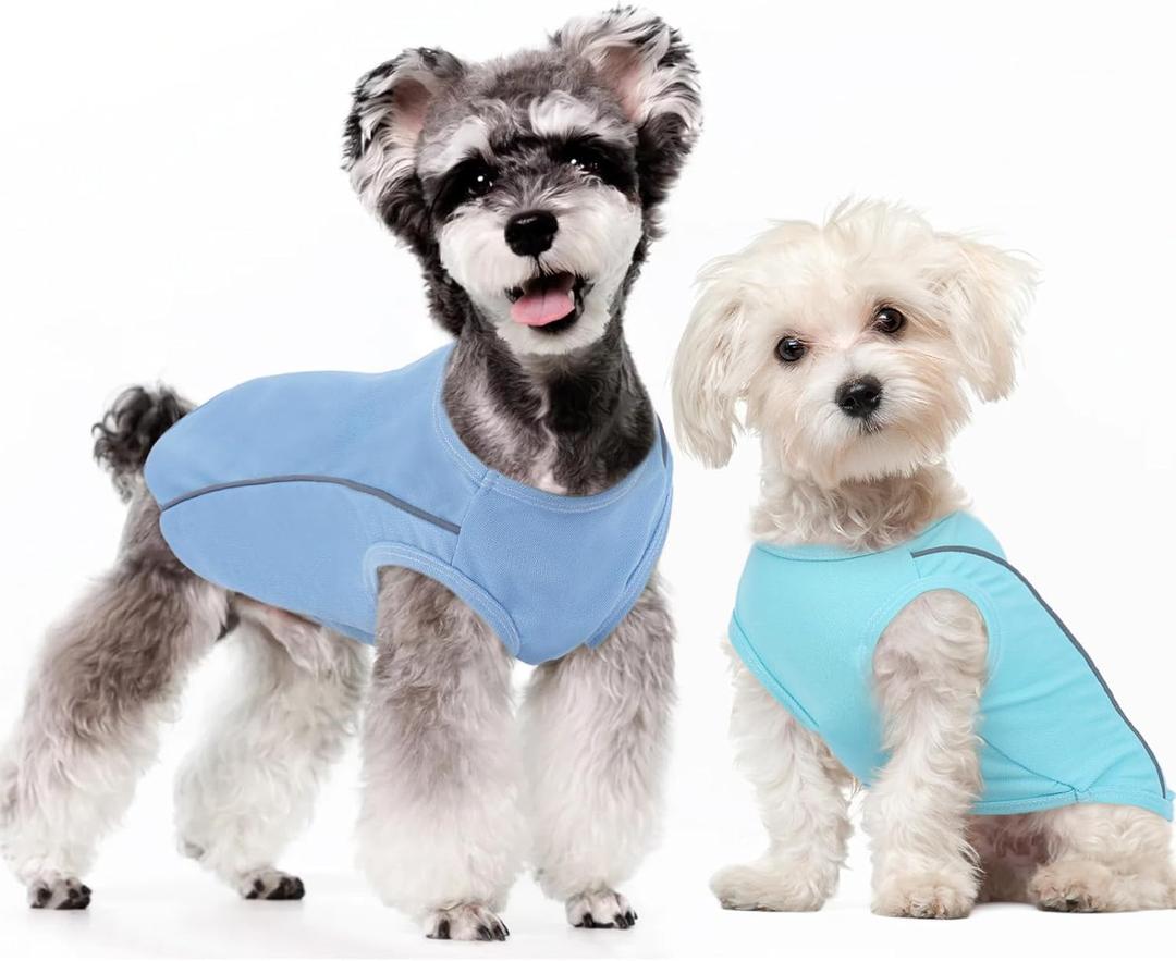 T'CHAQUE Dog T-Shirt for Extra Small Dog 2 Pack, XS Dog Clothes with Reflective Strips, Sleeveless Pullover Puppy Clothes, Lightweight Tank Top Stretchy Vest for Chihuahua Teacup, Blue-XS