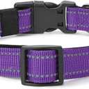 Reflective Dog Collar Padded with Soft Neoprene Breathable Quick Release Basic Dog Collars for Medium Dogs Purple Girl (M:width 3/4"neck 14-20.5")