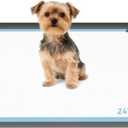 ALOOF Silicone Dog Pee Pad Holder 24x24 in, Puppy Potty Training Tray with Magnetic Snaps & Raised Edges, NonSlip Floor Protector, Gray