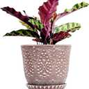 Gepege 10 Inch Plant Pot, Ceramic Planter with Drainage Holes and Saucers for Plants Indoor and Outdoor Flower Pot (10inch, Clay+white)