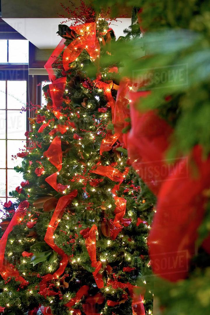 Decorations, Red Ribbon and Light