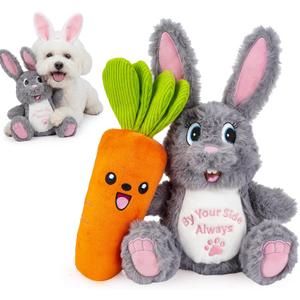 Bunny & Carrot Squeaky Dog Toy 2-Pack, Stuffed Crinkle Plush Toys for Small Dogs and Puppies, Gentle Chewer Indoor Play