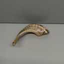 Holy Voice Kosher Ram Shofar Horn from Israel  12"-14" Musical Horn with Shofar Bag  Decorative, Functional Jewish Judaica Gifts for Women & Men, Half Polished