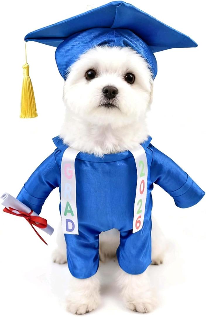 Dog Standing Graduation Costume Outfits with Stole DIY Letter Stickers,Pet Graduation Cap and Gown for Small Medium Dogs Cats,L