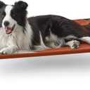 Love's cabin Elevated Cooling Dog Bed for Large Dogs, Portable Indoor & Outdoor Raised Pet Dog Cat Cot, Durable Summer Frame with Breathable Mesh, Terracotta, 48 inches