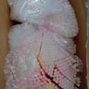 YixangDD 1000 PCS Ultra Bright Glow Sticks, 8 Inch Glow Sticks Bulk Party Pack, Light Up Sticks for Glow Bracelets, Necklaces, Concerts, Christmas, Party Supplies with 1000 Connectors