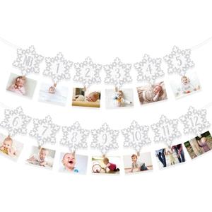 Winter Snowflake 12 Month Photo Banner First Birthday Party Decorations Baby Onederland Garlands Silver