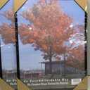 Medog 18x24 Poster Frame Black, Display Pictures 18x24 Picture Schools Colleges Sign Frame, 2 Pack