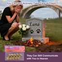 Dog Memorial Gifts for Loss of Dog, Pet Memorial Gifts for Dogs, Paper Decorations for Funeral, Dog Bereavement Gift-Pet Sacrificial, Rainbow Bridge Messenger (Pack of 3)