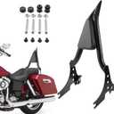 Sissy Bar for Harley Sportster 2004-2023, 13" Detachable Passenger Backrest for Sportster XL 883 1200 Iron 883 1200 Forty Eight Seventy Two (Black)
