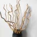 Dried Curly Willow Branches, 14-15 Stems Dried Twigs Sticks 21-23 Natural Dried Plants Decorative Branches for Rustic Home Decor, Beige