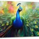 Peacock Wall Art Colorful Peacock Pictures Large Wall Decor Gift Canvas Painting Prints Modern Artwork Home Decorations Framed for Living Room Gallery Office Bedroom 30"x60"