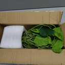 Artificial Plants Potted Real Looking Small Faux Plant with Rustic Black Cement Planter for Kitchen Office Desk Bookshelf Decor (Eucalyptus Plant)