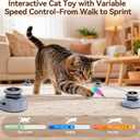 Jripae Interactive Cat Toys for Indoor Cats DIY Multi-Track Chase | Adjustable Speed,Electric Moving Treadmill Feather lure Toy Self-Play for Bored Kittens Adult Cats Hunt Instinct Exercise Run
