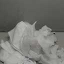 Bird Netting for Garden Protection - 4 Pack Garden Netting Pest Barrier with Drawstring,Mosquito Net Tomato Protective Cover Garden Plant Netting for Blueberry Bushes (4.9 Ft x 4 Ft/4 Pack)