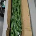 SN Decor Artificial PVC Grass Plants with Black Plastic Planter, 47” Tall – Set of 2 Potted Plant for Home Office Garden Patio Pathway Front Porch Farmhouse Décor