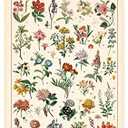 Vintage Wildflowers Poster Botanical Wall Art Prints Colorful Rustic Style of Floral Wall Hanging Illustrative Reference Flower Chart Poster for Living Room Office Bedroom Decor Frame 15.7 x 23.6 Inch