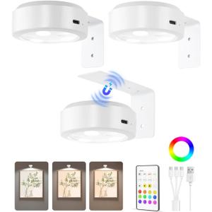 EZVALO Picture Lights for Wall, 2000mAh Rechargeable Battery Magnetic Poster Lights with 3 Color Temps & 12 RGB, Remote Dimmable Timer Painting Light, Wall Decor Light for Art Display, Frame (3 Pack)