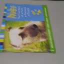 Nubs: The True Story of a Mutt, a Marine & a Miracle