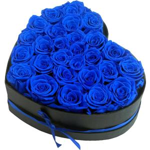 Preserved Roses Heart Shape Box Valentines Day Gifts for Her Mothers Day Forever Flowers (Blue, 27 Roses)