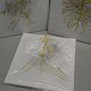 HOMEOART Gold Grey Botanical Leaf Art Prints Bathroom Decor Picture Framed Artwork for Dining Room 12x12inchx, 3Pieces