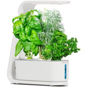 AeroGarden Sprout - Indoor Garden with LED Grow Light, White