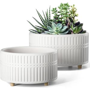 LE TAUCI Succulent Pots, 6.5+8 Inch Ceramic Indoor Plant Pot with Drainage Hole, Shallow Round Succulent Planters, Set of 2, Matte White