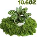 Fake Green Moss - Artificial Moss for Plants Indoor, Faux for Crafts, DIY Fairy Garden Decor, Potted Plant Wedding Centerpieces, Table & Wall Decoration (10.6 OZ)