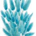 Uieke 17’’ Natural Bunny Tails Dried Flowers, 50 Pcs Dried Lagurus Ovatus, Dried Foxtail Grass for Flower Arrangements Wedding Centerpieces Home Boho Baby Shower Party Decorations (Blue)