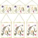 Treela 6 Pcs Pressed Flower Glass Picture Frame Gifts 8 x 10 Inch Christmas Brass Hanging Double Glass Gold Floating Photo Clear Horizontal Vertical with Chain for Gallery Vintage Artwork Display