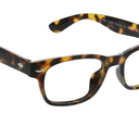 CLARK FOCUS BLUE LIGHT GLASSES +2.75
