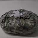 Camo Netting, Camouflage Netting, Hunting Blind Camo Net, Army Party Decorations, Sunshade Fence Nets, Lightweight, Bulk Roll, Mesh, Great for Camping, Shooting, Photograph, Car Cover, Outdoor (10ftx20ft, Woodland)