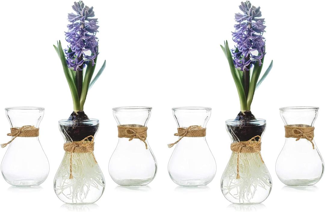 Small Glass Vases for Centerpieces - Hewory 6pcs Clear Mini Hyacinth Avocado Growing Bud Vase Bulk, Cute Tiny Flower Bulb Forcing Plant Containers Set for Wedding Home Living Room Table Decorations